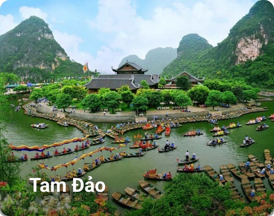 Distinctively revolutionary exploit cysts for Distinctively